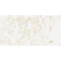 Керамогранит 41zero42 Pulp Gold Raw 60x120