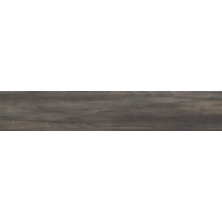 Керамогранит ABK Dolphin Coal Aged Rett 20x120