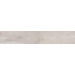 Керамогранит ABK Dolphin Moon Rett 20x120