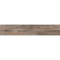 Керамогранит ABK Dolphin Oak Rett 20x120