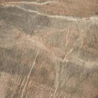 Керамогранит ABK Fossil Brown Nat 50x50