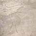 Керамогранит ABK Fossil Light Grey Nat 50x50