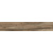 Керамогранит ABK Nest Oak 20x120