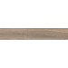 Керамогранит ABK Poetry Wood Ecru Nat 20x120