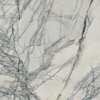 Керамогранит ABK Sensi Signoria Lilac Grey Nat R 120x120