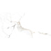 Керамогранит AB 1196G Colonial Bianco Gloss 1200x600 - фото в интерьере