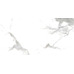 Керамогранит AB 1198G Montblanc Gloss 1200x600 - фото в интерьере
