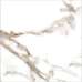 Керамогранит AB 1131G Oro Bianco gloss 600x600 - фото в интерьере