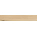 Керамогранит AB 1161W Wildwood Natural 1200x200 - фото в интерьере