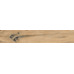 Керамогранит AB 1162W Wildwood Beige 1200x200 - фото в интерьере