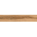 Керамогранит AB 1163W Wildwood Ocher 1200x200
