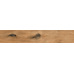 Керамогранит AB 1163W Wildwood Ocher 1200x200 - фото в интерьере