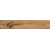 Керамогранит AB 1163W Wildwood Ocher 1200x200 - фото в интерьере