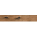 Керамогранит AB 1164W Wildwood Dark Brown 1200x200 - фото в интерьере