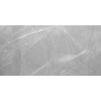 AB 1018G Armani Gris gloss 1200x600