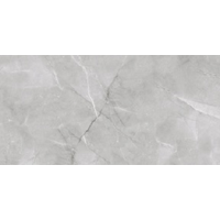 AB 1142G Armani Silver gloss 1200x600