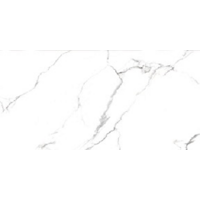 AB 1124G Statiario Titan gloss 1200x600