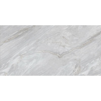 Керамогранит Age Art Classic Stone Fior Di Bosco Luna Polished 60x120