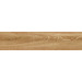 Керамогранит Alma Ceramica Almond GFA92AMD48R 20x90