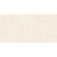 Керамогранит Alma Ceramica Amsterdam GFA114ADM04R 57x114