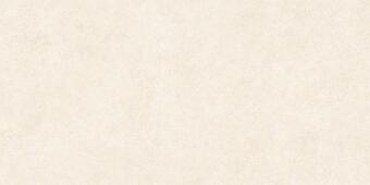 Керамогранит Alma Ceramica Amsterdam GFA114ADM04R 57x114