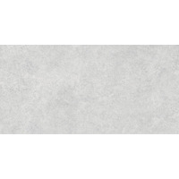 Керамогранит Alma Ceramica Amsterdam GFA114ADM07R 57x114