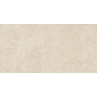 Керамогранит Alma Ceramica Amsterdam GFA114ADM40R 57x114