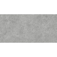 Керамогранит Alma Ceramica Amsterdam GFA114ADM70R 57x114