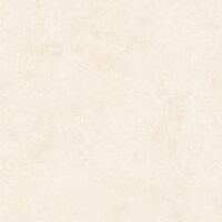 Керамогранит Alma Ceramica Amsterdam GFA57ADM04R 57x57
