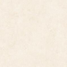 Керамогранит Alma Ceramica Amsterdam GFA57ADM04R 57x57