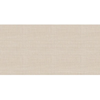 Alma Ceramica Asteria TWU09ATR044 24.9x50