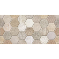 Alma Ceramica Asteria TWU09ATR404 24.9x50