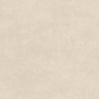 Керамогранит Alma Ceramica Berlin GFU04BLN80R 60x60
