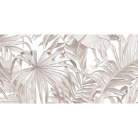 Alma Ceramica Bonita DWU09BNT014 24.9x50