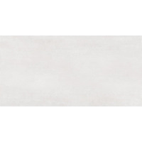 Alma Ceramica Bonita TWU09BNT004 24.9x50