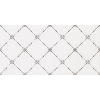 Alma Ceramica Brenta DWU09BRT004 24.9x50
