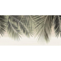 Alma Ceramica Del Mare DWU09DLM001 24.9x50