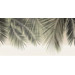 Alma Ceramica Del Mare DWU09DLM001 24.9x50