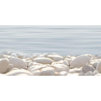 Alma Ceramica Del Mare DWU09DLM604 24.9x50