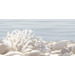 Alma Ceramica Del Mare DWU09DLM624 24.9x50