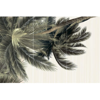 Alma Ceramica Del Mare PWU09DLM2 Set 3 Pcs 50x74.7