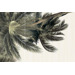 Alma Ceramica Del Mare PWU09DLM2 Set 3 Pcs 50x74.7