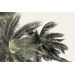 Alma Ceramica Del Mare PWU09DLM3 Set 3 Psc 50x74.7