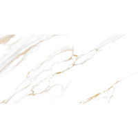 Alma Ceramica Dublin TWU09DBL004 24.9x50