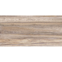 Alma Ceramica Dublin TWU09DBL404 24.9x50