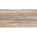 Alma Ceramica Dublin TWU09DBL404 24.9x50