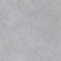 Керамогранит Alma Ceramica Evolution GFU04EVL07R 60x60