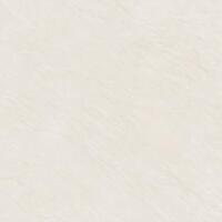 Керамогранит Alma Ceramica Evolution GFU04EVL08R 60x60