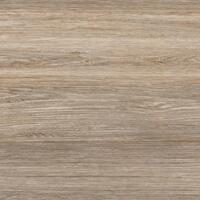 Керамогранит Alma Ceramica Forest GFU04FOR24R 60x60