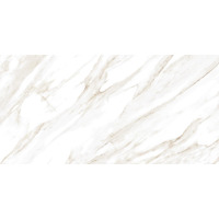 Керамогранит Alma Ceramica Madrid GFA114MDD04L 57x114